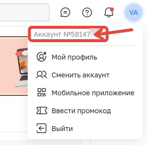 Номер аккаунта inSales